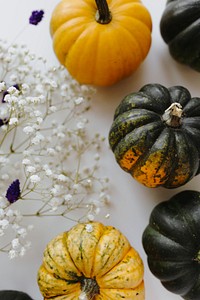 Aerial view of mini pumpkins and white gypsophila flowers