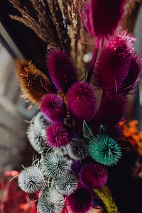 Assortment of colorful dried wild flowers