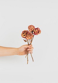 Hand holding a bunch of dried roses