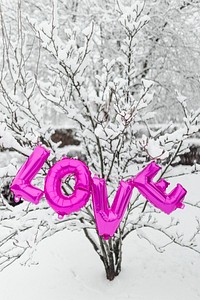 Pink love balloon word hanging on a snowy tree