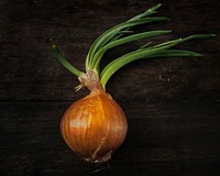 Organic yellow onion on a table
