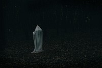A ghost in a dark forest