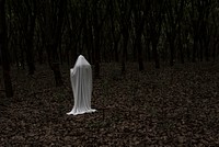 A ghost in a dark forest