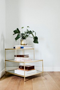 Golden shelf with books a pot of leaves