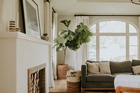 Houseplant in an interior home decor