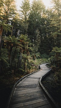 Boardwalk in the woods in Australia mobile phone wallpaper