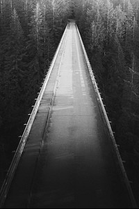 Bridge over a river in a forest grayscale