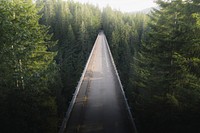 Bridge over a river in a forest