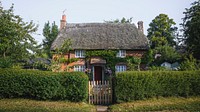 Desktop wallpaper background, country house covered with plant