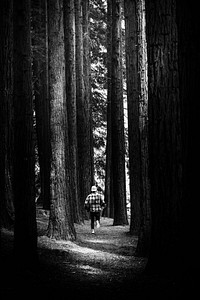 Lost man running in a pine forest