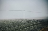 Frosty field with electric pole in a misty day