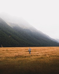 Grassland in Milford Sound, New Zealand