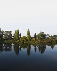 View of green trees by a lake