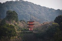 Pagoda in Kyoto&#39;s temple, Japan