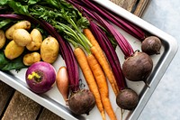 Various of fresh organic vegetable on a metal tray