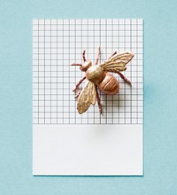 Colorful miniature fly on a paper