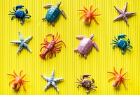 Plastic sea creatures on a yellow background