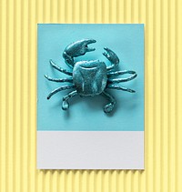 Little cute crab on a paper