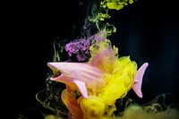 Acryllic color dissolving in water
