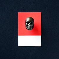 Dark skeleton face skull head toy