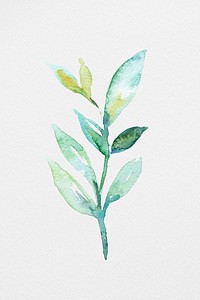 Colorful watercolor natural leaves illustration