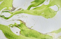Green abstract watercolor painting background