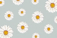 White daisy flower on light blue background