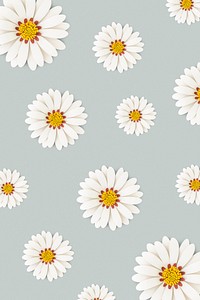 White daisy flower on light blue background