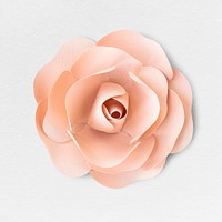 Light pink rose flower paper craft