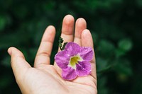 Pink flower in a hand