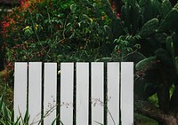Plants and a white picket fence in a garden