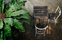 Two wooden chairs and a table by a plant