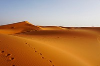 The dunes of Erg Chebbi, Morocco