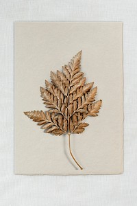 Dry leaf on a brown paper