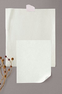 Blank plain white paper template