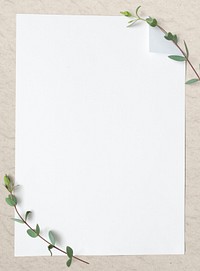 Blank plain white paper template