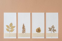 Dried leaves on cards mockup