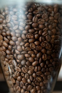 Close up of coffee beans in a grinder