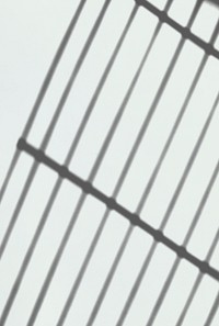 Shadow of wired fence on a white wall psd
