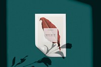 Ready to use poster mockup with a leaf psd