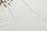 Shadow of wire fence on a white wall psd