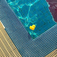 Yellow rubber duck floating on the pool