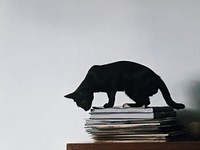 Black cat on a pile of books