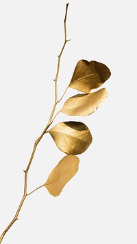 Eucalyptus round leaves painted in gold mockup on an off white background