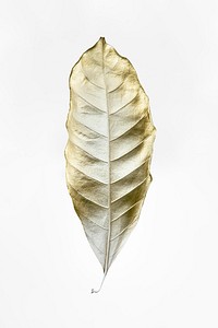 Leaf painted in gold and white on an off white background