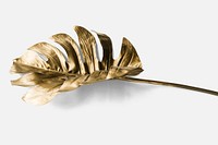 Golden monstera leaf on a white background mockup