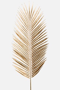 Areca palm leaf painted in gold on an off white background