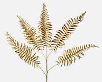 Golden leatherleaf fern plant mockup on an off white background