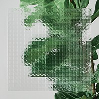 Green leaf background psd with patterned glass texture