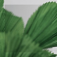 Green leaf background psd with patterned glass texture